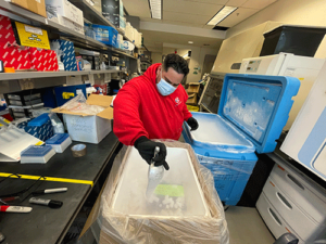 a Hingham Moving Services mover prepares a box for biological and cryogenic transportation services