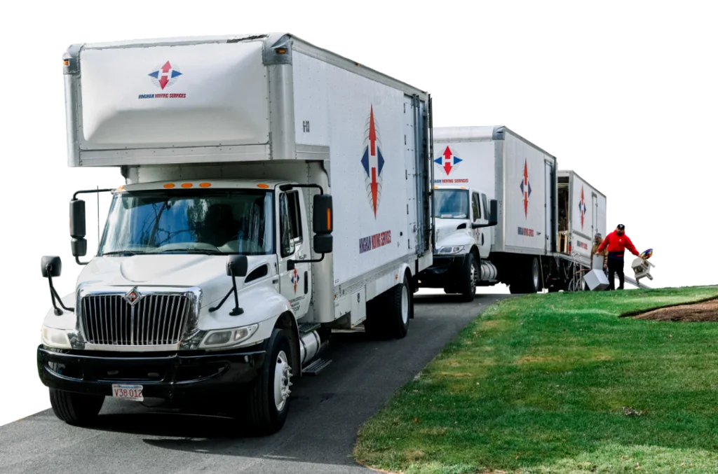 professional moving services